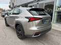 Lexus NX 300 2.5 Sport 4WD CVT Gris - thumbnail 2