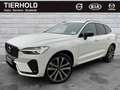 Volvo XC60 T6 R Design Plug-In AWD AHK ACC PANO Google Weiß - thumbnail 2