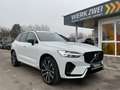 Volvo XC60 T6 R Design Plug-In AWD AHK ACC PANO Google Weiß - thumbnail 9