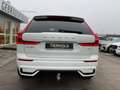 Volvo XC60 T6 R Design Plug-In AWD AHK ACC PANO Google Weiß - thumbnail 6