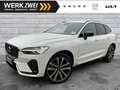 Volvo XC60 T6 R Design Plug-In AWD AHK ACC PANO Google Weiß - thumbnail 1