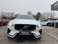 Volvo XC60 T6 R Design Plug-In AWD AHK ACC PANO Google Weiß - thumbnail 10