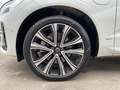Volvo XC60 T6 R Design Plug-In AWD AHK ACC PANO Google Weiß - thumbnail 11