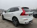 Volvo XC60 T6 R Design Plug-In AWD AHK ACC PANO Google Weiß - thumbnail 5