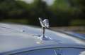 Rolls-Royce Ghost Series II Facelift - 1 Belgian Owner Blau - thumbnail 16