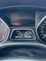 Ford Focus 5p 1.5 tdci ST-Line Business s&s 120cv - thumbnail 5