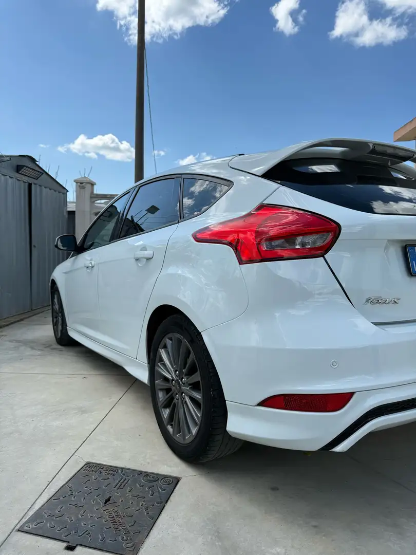 Ford Focus 5p 1.5 tdci ST-Line Business s&s 120cv - 2