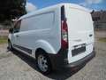 Ford Transit Connect 230 Kasten Lang L2 AHK möglich ! Bílá - thumbnail 6