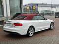 Audi A5 Cabrio 3.0 V6 tdi s-line quattro 245cv s-tronic Bianco - thumbnail 5