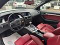 Audi A5 Cabrio 3.0 V6 tdi s-line quattro 245cv s-tronic Bianco - thumbnail 9