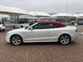 Audi A5 Cabrio 3.0 V6 tdi s-line quattro 245cv s-tronic Bianco - thumbnail 8