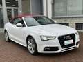 Audi A5 Cabrio 3.0 V6 tdi s-line quattro 245cv s-tronic Bianco - thumbnail 3