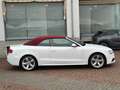 Audi A5 Cabrio 3.0 V6 tdi s-line quattro 245cv s-tronic Bianco - thumbnail 4