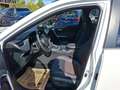 Toyota RAV 4 RAV4 2.5 Hybrid PHEV Active AWD SHZ+2xKlima+LM Weiß - thumbnail 20