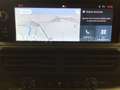 Fiat Scudo L3 Holzausstattung Nav Kamera NSW Voll-LED Blanco - thumbnail 12