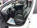 Citroen C3 Attraction von Pensionist Pickerl 08.2025 1Besitz Weiß - thumbnail 9