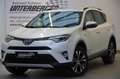 Toyota RAV 4 Active Hybrid Kommissionsverkauf Wit - thumbnail 2