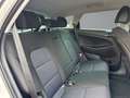 Hyundai TUCSON 1.6 TGDI Advantage 4WD DCT Blanc - thumbnail 11