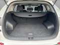 Hyundai TUCSON 1.6 TGDI Advantage 4WD DCT Blanc - thumbnail 6