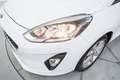 Ford Fiesta 1.5TDCi Trend 85 Blanco - thumbnail 10