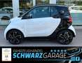 smart forTwo fortwo coupe electric drive + 3 J. Garant Weiß - thumbnail 4
