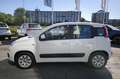 Fiat Panda 0.9 TwinAir Lounge | Airconditioning | Fiat Radio Wit - thumbnail 8