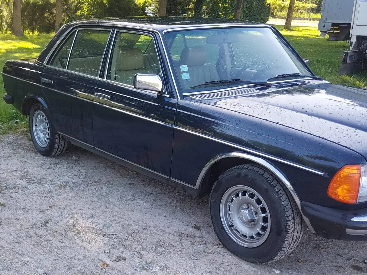 Mercedes-Benz 230 W123, foto 3