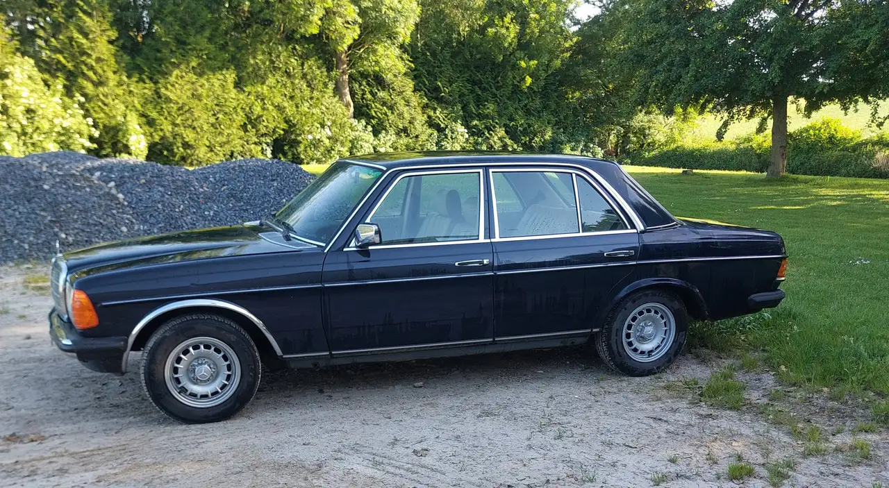 Mercedes-Benz 230 W123, foto 2
