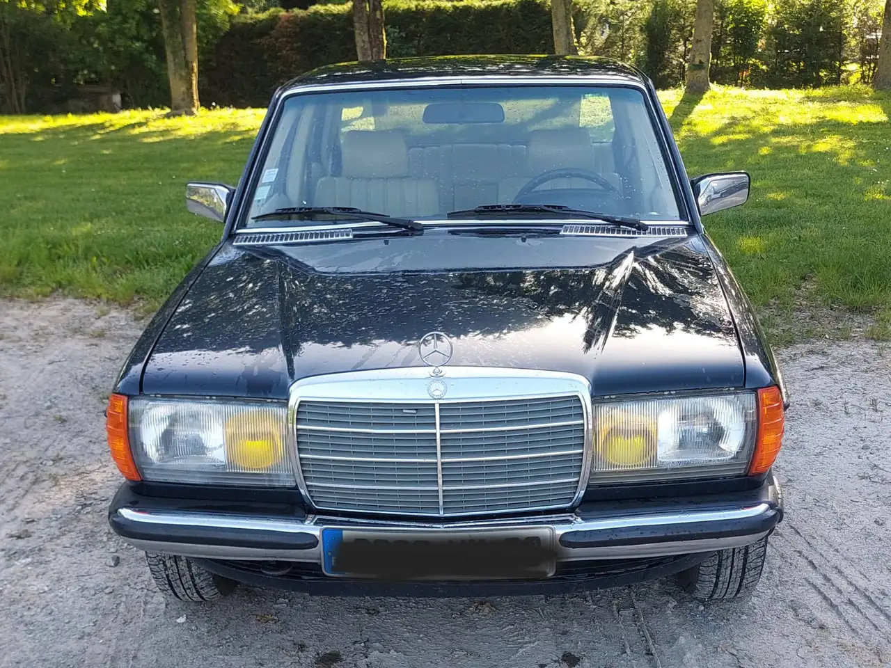 Mercedes-Benz 230 W123, foto 1