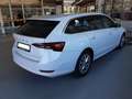 Skoda Octavia Combi 1.5TSI First Edition Bianco - thumbnail 3