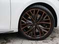 CUPRA Leon 2.0 TSI VZ LEDER DCC NAVI ACC LED COPPER Weiß - thumbnail 5