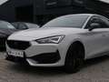 CUPRA Leon 2.0 TSI VZ LEDER DCC NAVI ACC LED COPPER Weiß - thumbnail 23