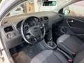 Volkswagen Polo Sport Austria Weiß - thumbnail 4