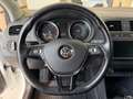 Volkswagen Polo Sport Austria Weiß - thumbnail 5