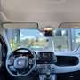 Fiat Panda 1.0 firefly hybrid s&s 70cv 5 posti Schwarz - thumbnail 8
