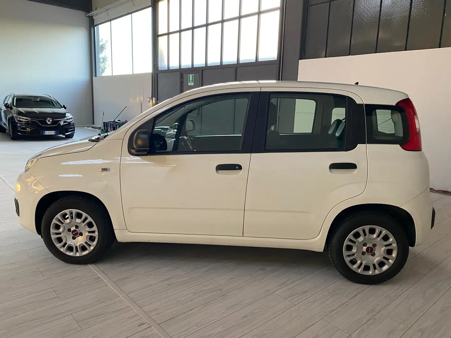 Fiat Panda Panda 1.2 Pop Bianco - 2