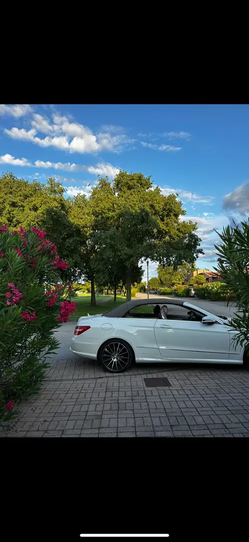 Mercedes-Benz E 250 E Cabrio 250 cdi Premium /FULL/ listino €86,000 Bianco - 2
