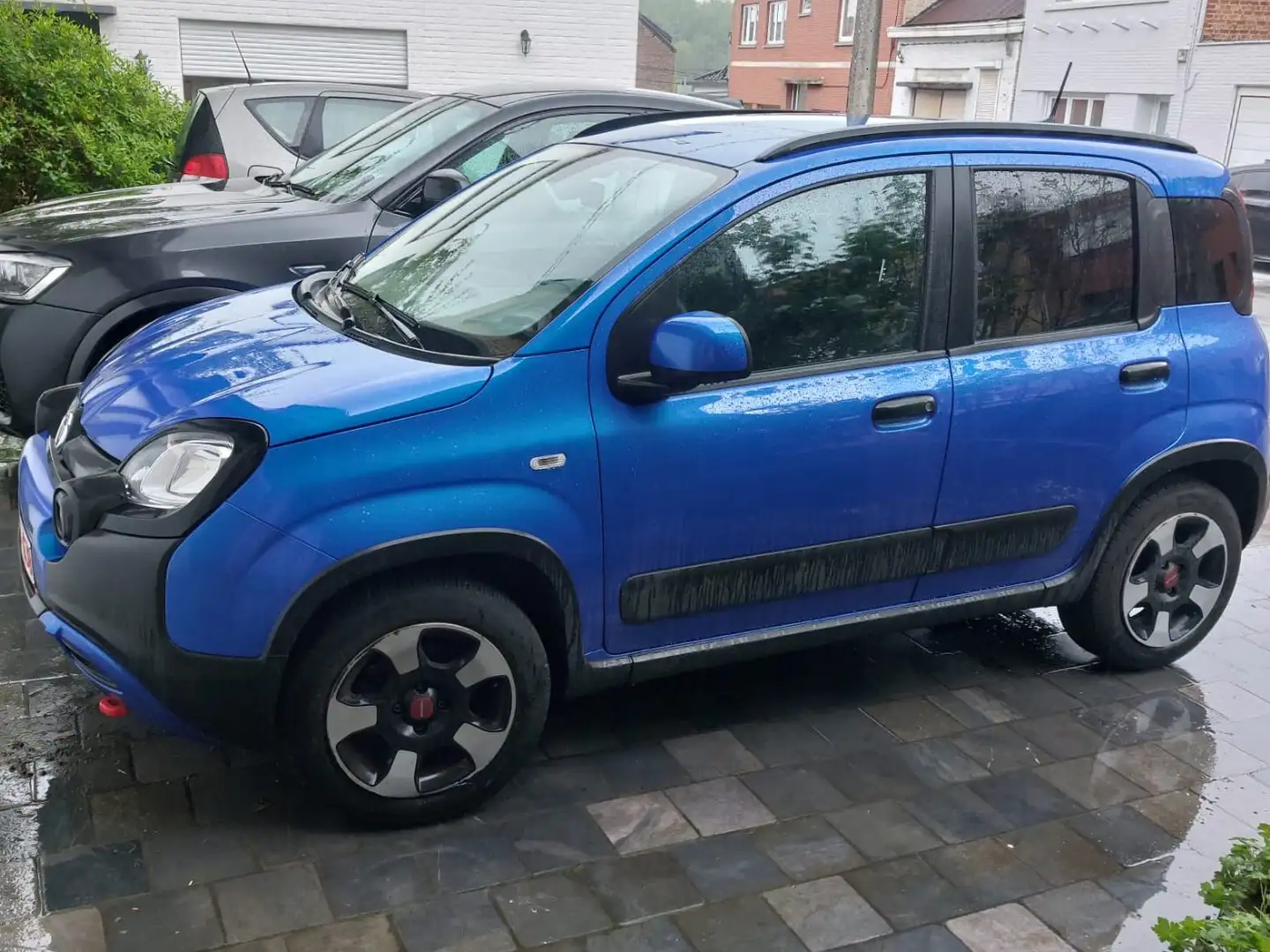 Fiat Panda Panda Cross 1.0i MHEV Cross Blauw - 2