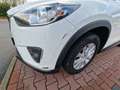 Mazda CX-5 CX-5 Diesel 2.2 SKYACTIV-D AWD Sports-Line Weiß - thumbnail 5