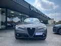 Alfa Romeo Stelvio 2.2 Turbodiesel 190 CV AT8 RWD Sprint Grijs - thumbnail 2