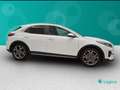 Kia XCeed 1.0 T-GDi High Tech Adas Pack Bianco - thumbnail 6