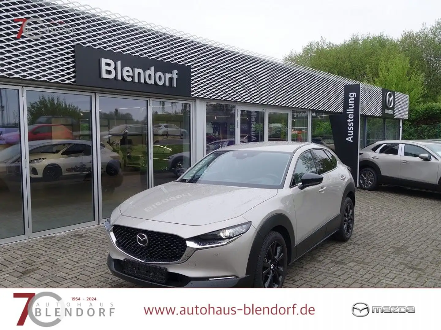 Mazda CX-30 Homura X 186 Automatik Navigation|Bose|360°|LED Beige - 1