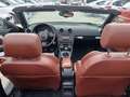 Audi A3 Cabrio 1.9TDI Attraction Gris - thumbnail 3