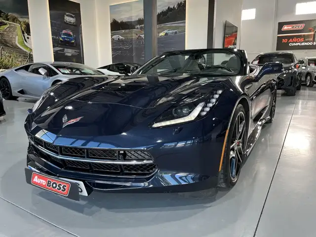 Chevrolet Corvette view 11