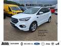 Ford Kuga 2.0 TDCi 4x4 Aut. ST-Line NAVIGATION RÜCKFAHRKAMER Bianco - thumbnail 1