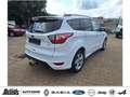 Ford Kuga 2.0 TDCi 4x4 Aut. ST-Line NAVIGATION RÜCKFAHRKAMER Bianco - thumbnail 3
