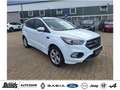 Ford Kuga 2.0 TDCi 4x4 Aut. ST-Line NAVIGATION RÜCKFAHRKAMER Bianco - thumbnail 2