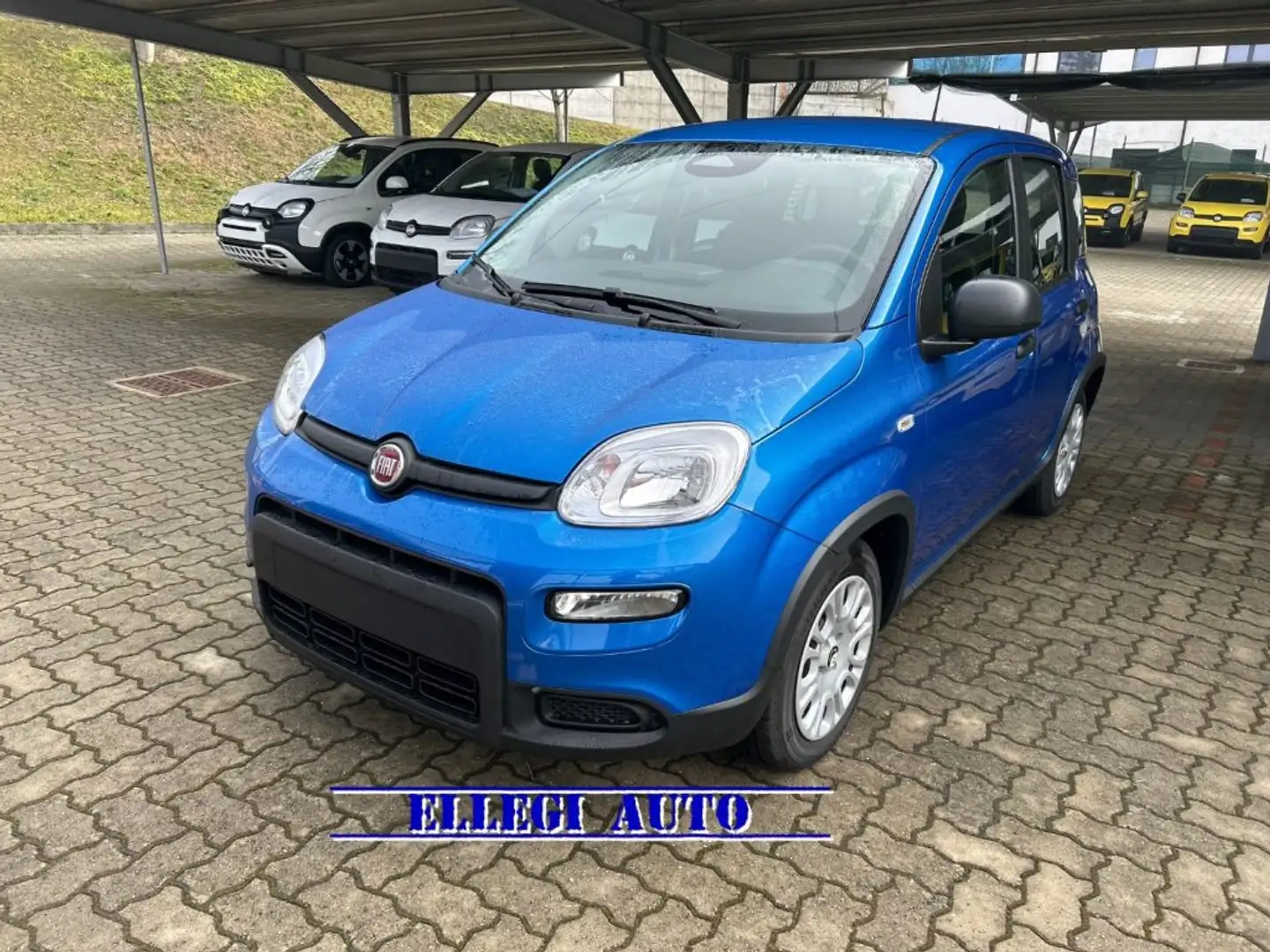 Fiat Panda PROMO FINANZ. 1.0  Hybrid RADIO FRONTALINO KM  0 Blu/Azzurro - 1