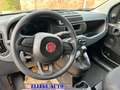 Fiat Panda PROMO FINANZ. 1.0  Hybrid RADIO FRONTALINO KM  0 Blu/Azzurro - thumbnail 9