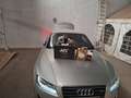 Audi A5 A5 Coupé 2.7TDI Multitronic Plateado - thumbnail 1
